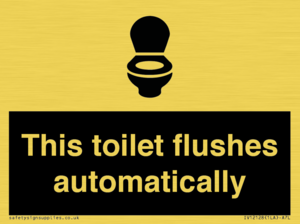 This toilet flushes automatically